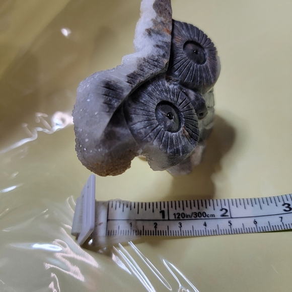 Sphalerite Natural Crystal OWL - Picture 2 of 7